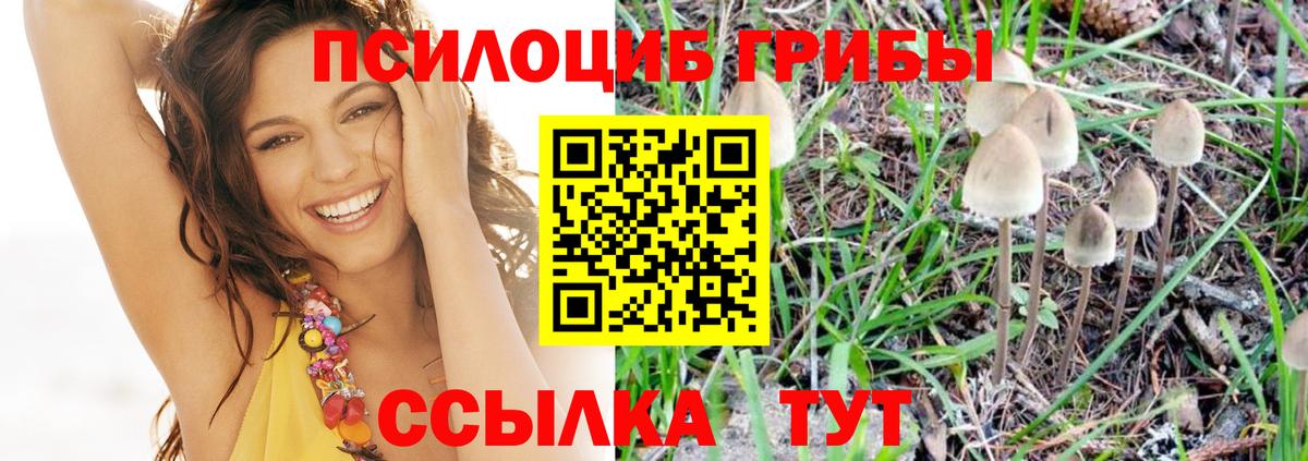 Галлюциногенные грибы ЛСД Чистополь