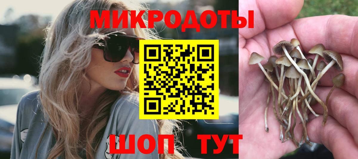 Галлюциногенные грибы ЛСД  Псилоцибиновые грибы Psilocybe  Вход с VPN  Чистополь 
